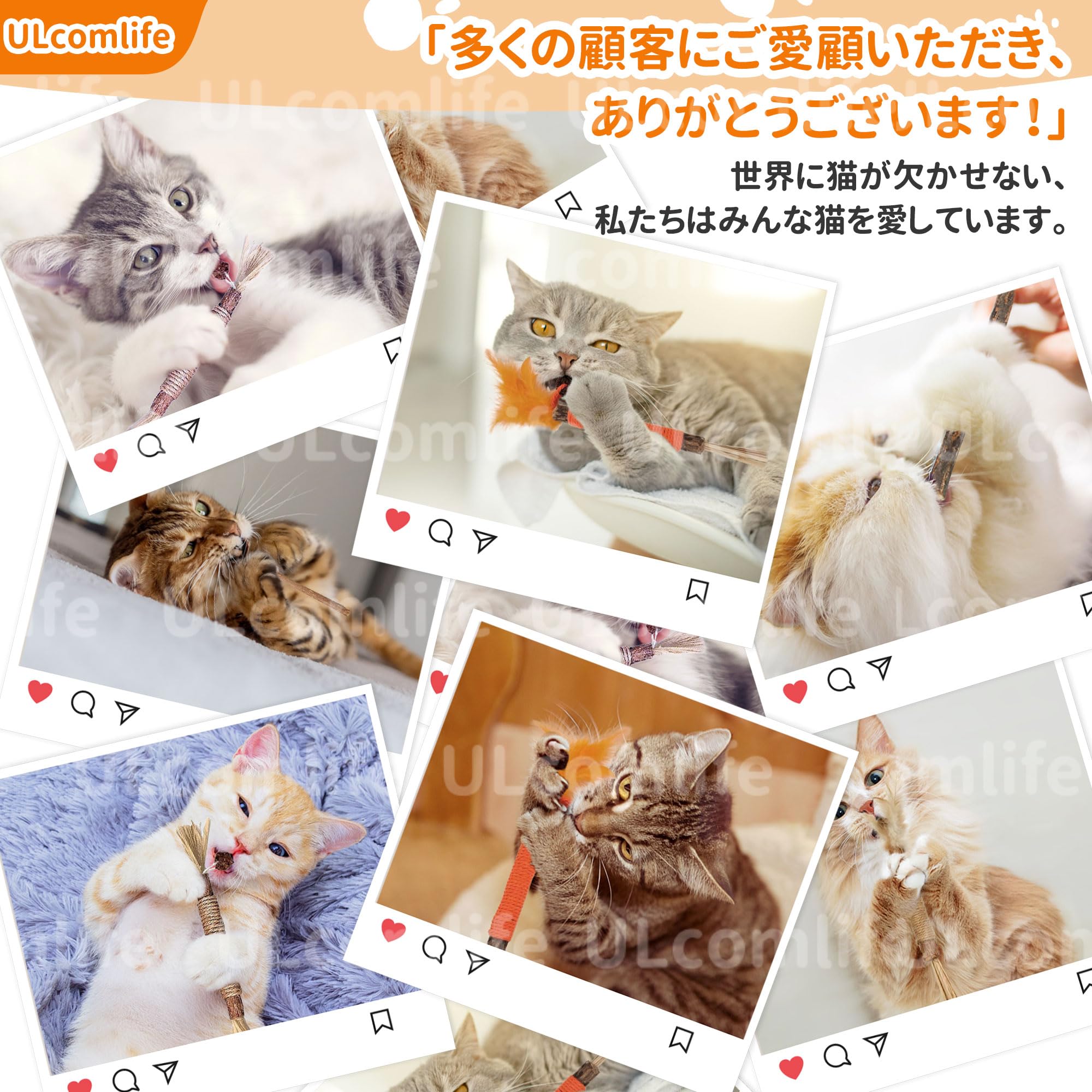 Amazon | 【特大サイズ】 ULcomlife 天然マタタビ 超極太またたび枝